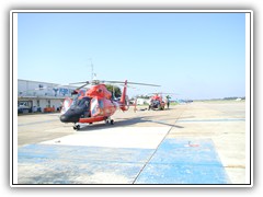 Coast Guard Helicopters 003